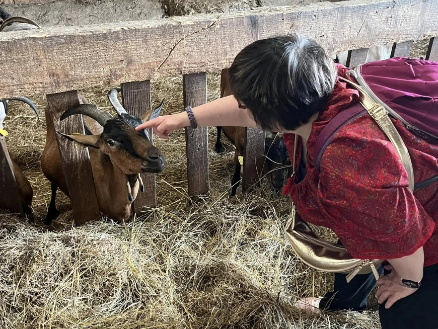 d283373edbc1edfa99b05d49a7830072